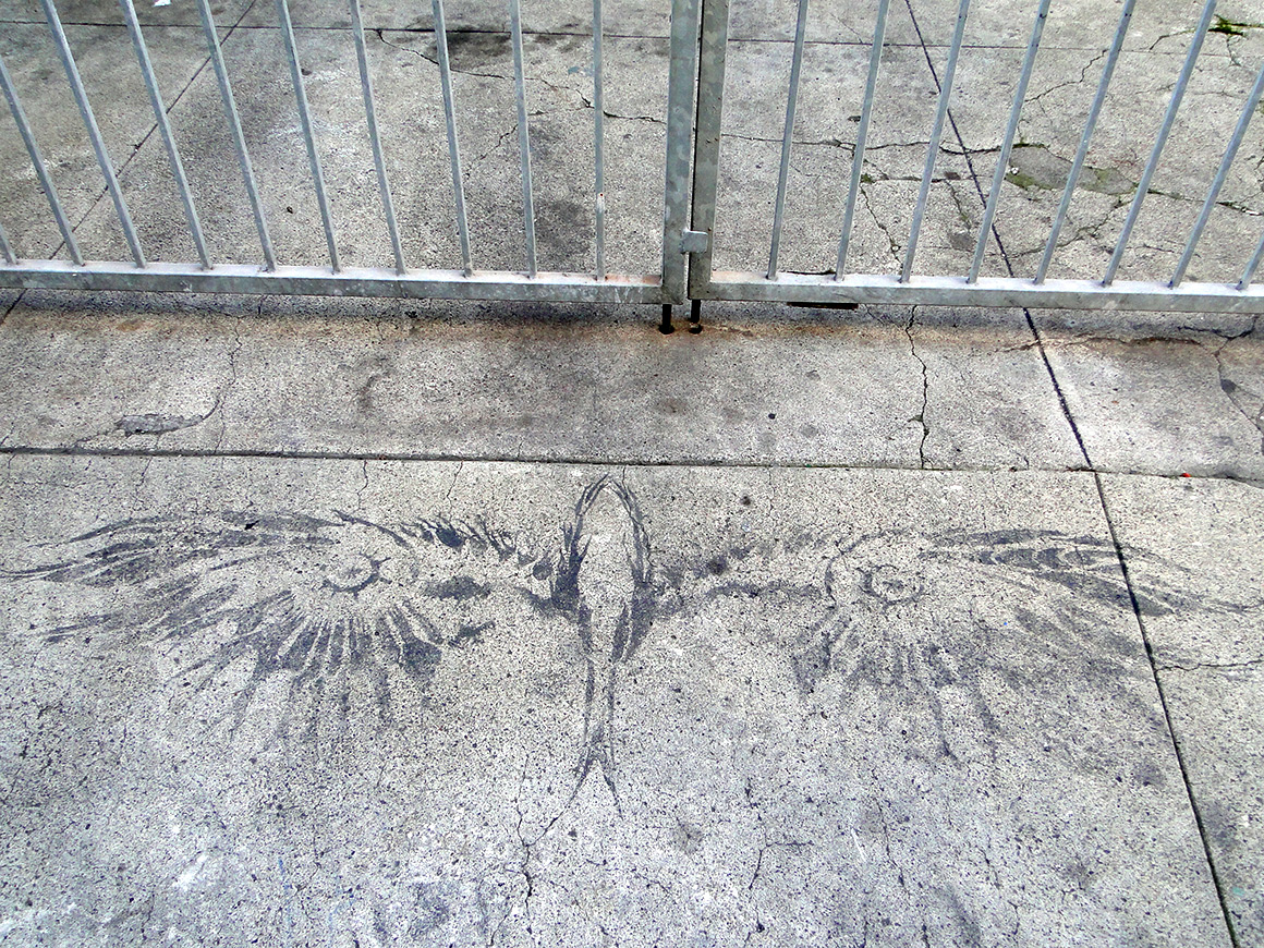 Owl Eyed