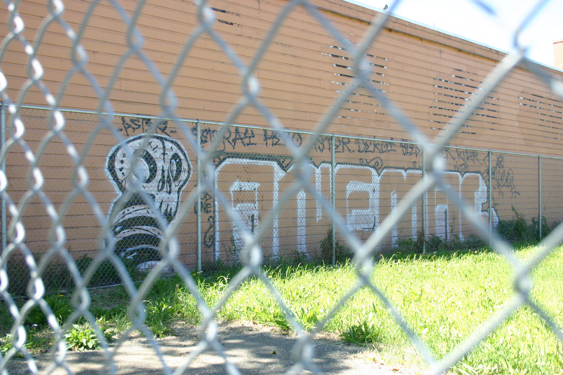 Anemal AF graffiti in Oakland, CA in San Francisco Bay ARea